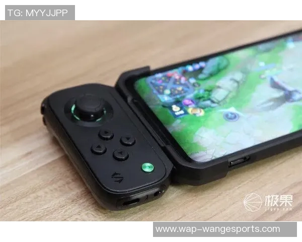 聚焦和平精英IG的意识话题探讨与游戏文化的深度融合分析