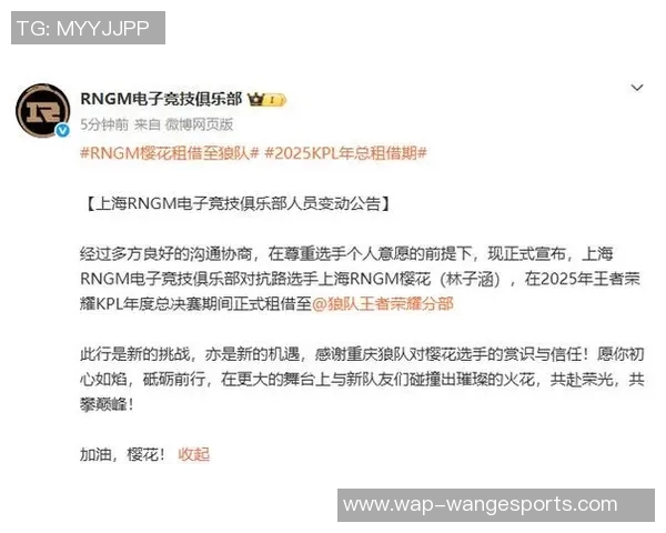 esports最新数据从零基础到高手之路王者荣耀全面技术攻略与实战技巧分享